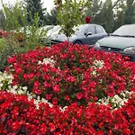 Alfa Art Hotel